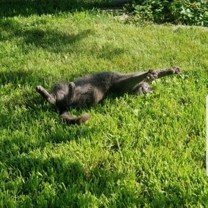 Meet your Posher, Erik